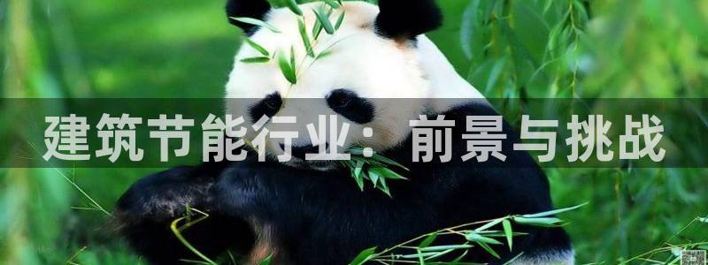 e尊官网：建筑节能行业：前景与挑战