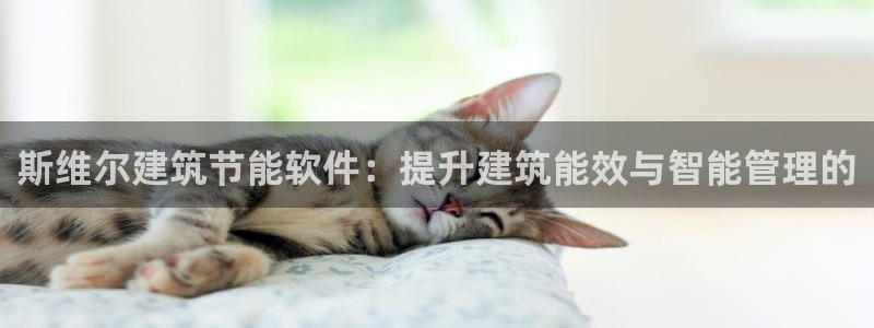 E尊国际网站