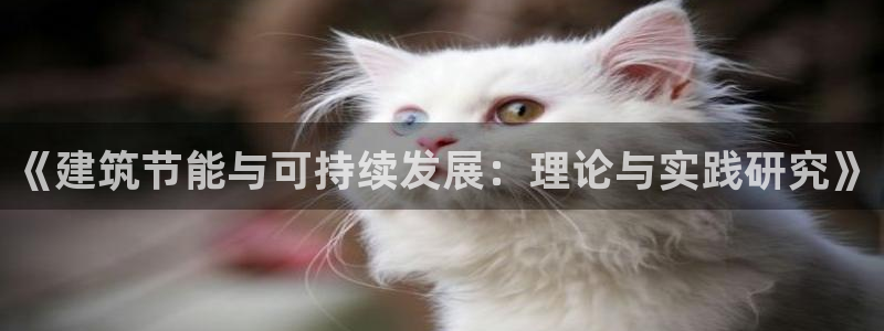e尊国际是干什么的：《建筑节能与可持续发展：理论与实践研究》
