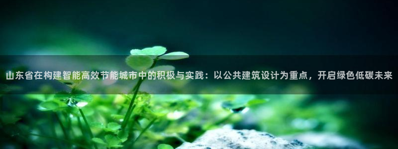 谁知道e尊国际的网址：山东省在构建智能高效节能城市中的积极与实践：以公共建筑设计为重点，开启绿色低碳未来
